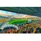 Almondvale Stadium Fine Art Print - Livingston FC